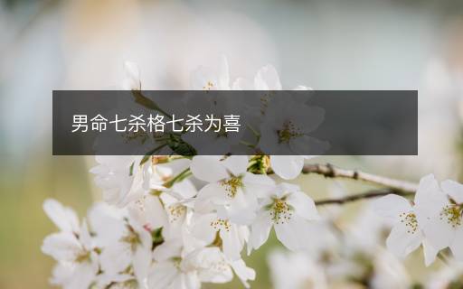 男命七杀格七杀为喜