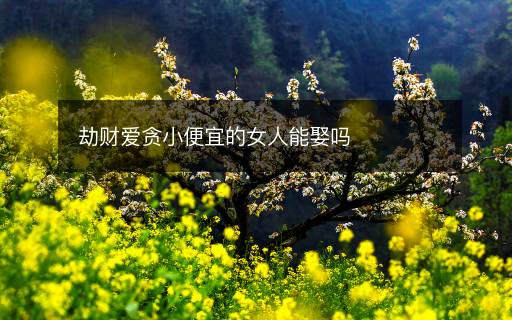 劫财爱贪小便宜的女人能娶吗