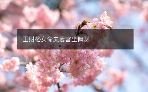 正财格女命夫妻宫坐偏财