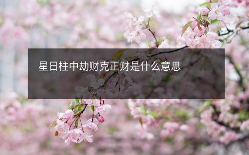 星日柱中劫财克正财是什么意思