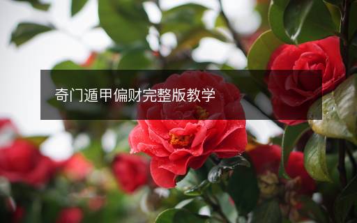 奇门遁甲偏财完整版教学