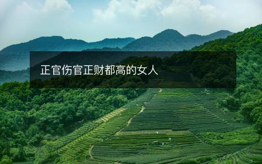 正官伤官正财都高的女人