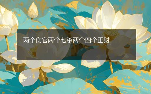 两个伤官两个七杀两个四个正财 两个伤官两个七杀两个四个正财