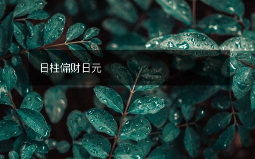 日柱偏财日元