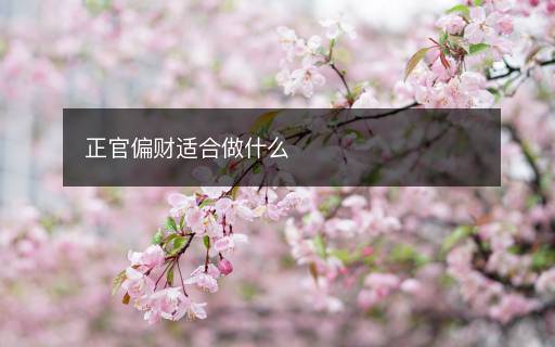 正官偏财适合做什么