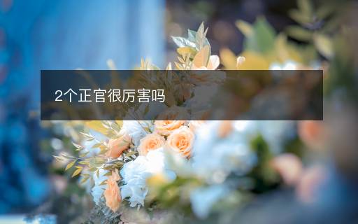 2个正官很厉害吗