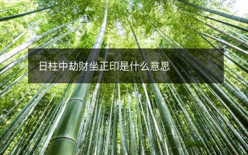 日柱中劫财坐正印是什么意思