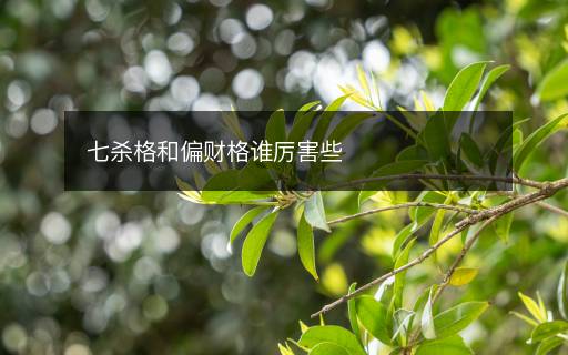 七杀格和偏财格谁厉害些