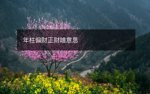 年柱偏财正财啥意思