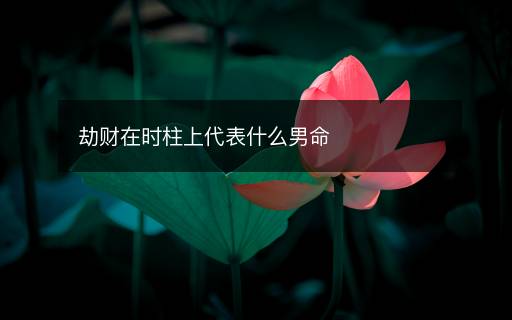 劫财在时柱上代表什么男命