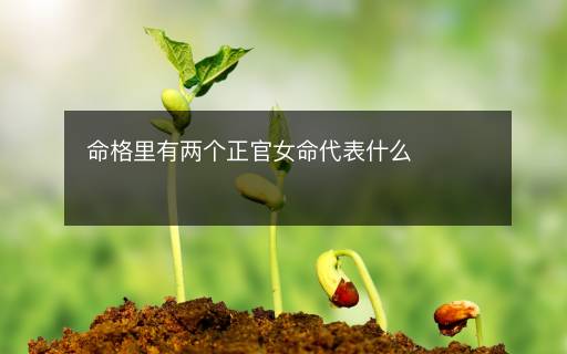 命格里有两个正官女命代表什么