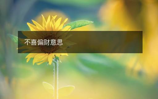 不喜偏财意思