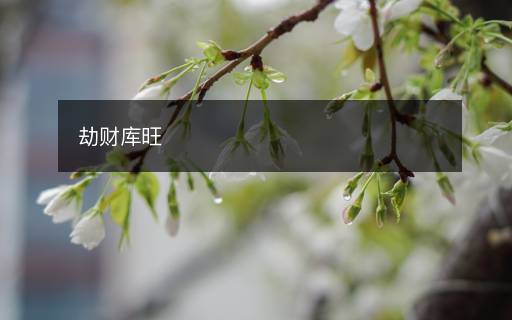 劫财库旺 劫财库旺