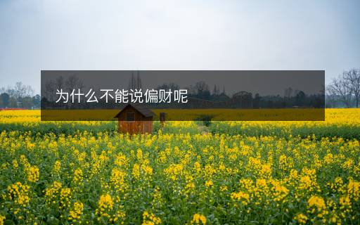 为什么不能说偏财呢
