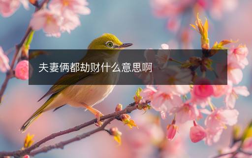 夫妻俩都劫财什么意思啊