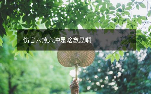 伤官六煞六冲是啥意思啊