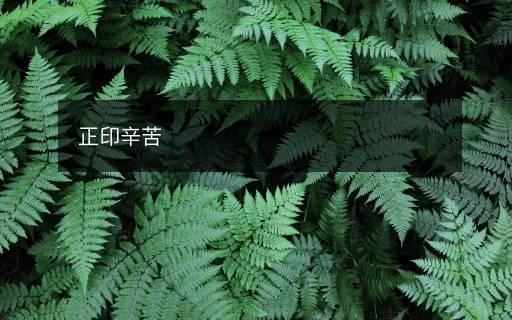 正印辛苦