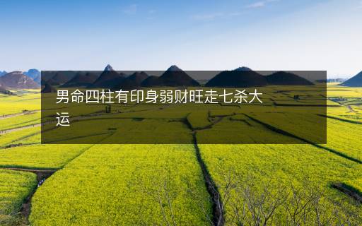 男命四柱有印身弱财旺走七杀大运