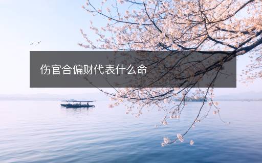 伤官合偏财代表什么命