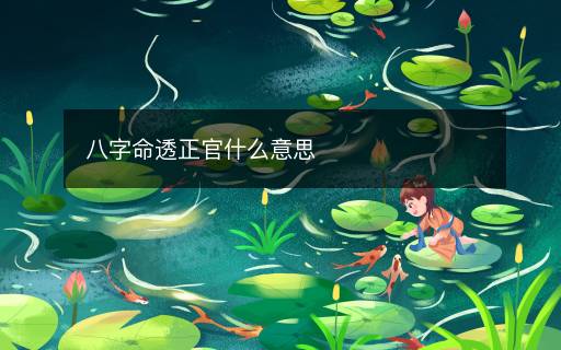 八字命透正官什么意思