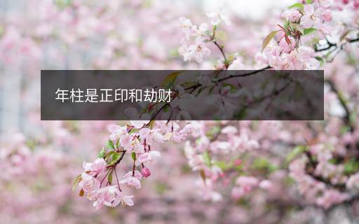 年柱是正印和劫财