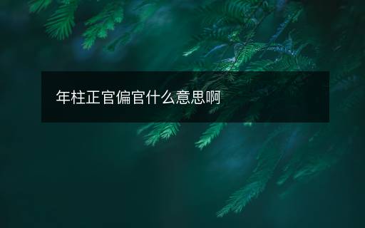 年柱正官偏官什么意思啊