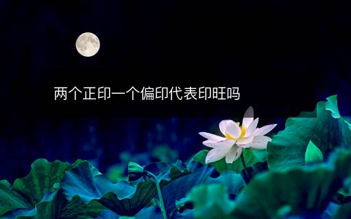 两个正印一个偏印代表印旺吗