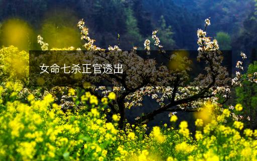 女命七杀正官透出