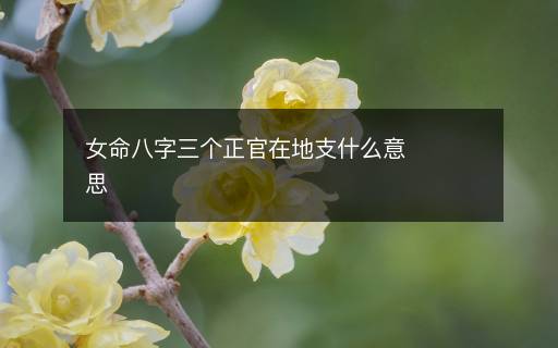 女命八字三个正官在地支什么意思