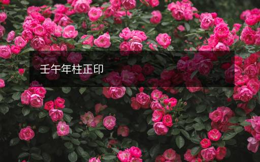 壬午年柱正印