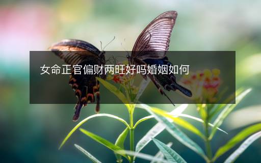 女命正官偏财两旺好吗婚姻如何