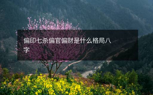 偏印七杀偏官偏财是什么格局八字 偏印七杀偏官偏财是什么格局八字