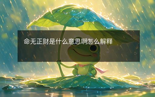 命无正财是什么意思啊怎么解释