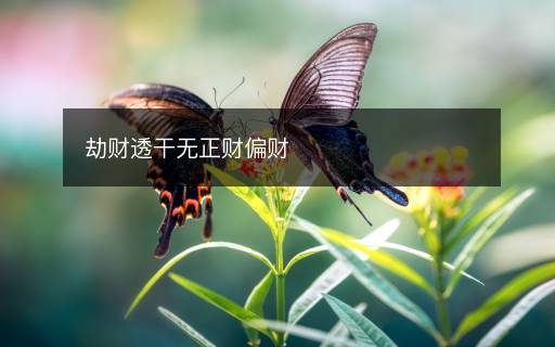 劫财透干无正财偏财