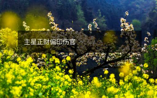主星正财偏印伤官