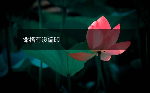 命格有没偏印