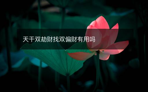 天干双劫财找双偏财有用吗