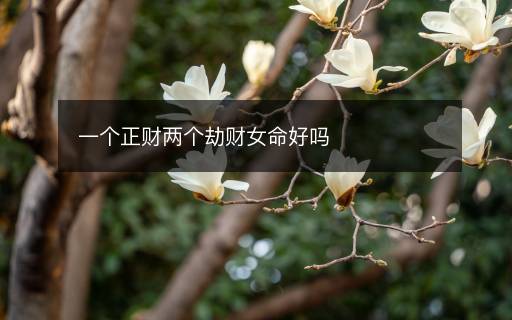 一个正财两个劫财女命好吗