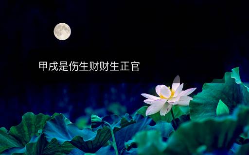 甲戌是伤生财财生正官