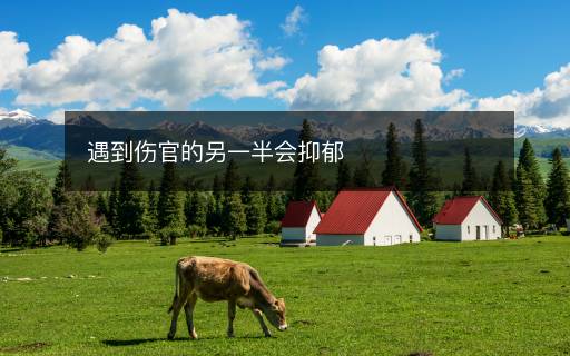 遇到伤官的另一半会抑郁