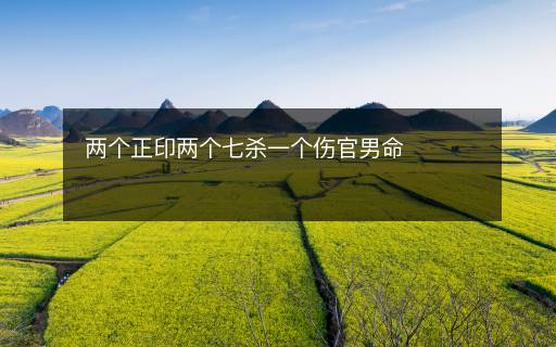 两个正印两个七杀一个伤官男命