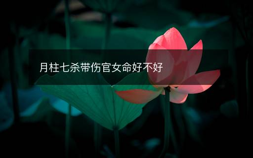 月柱七杀带伤官女命好不好