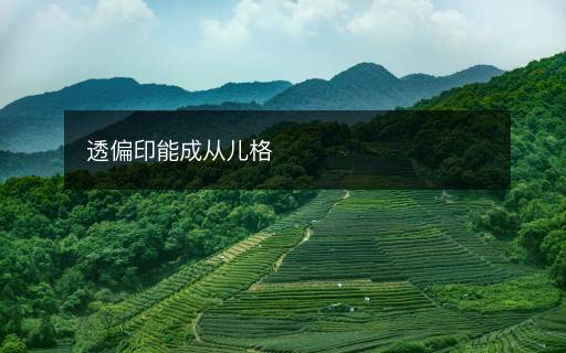透偏印能成从儿格