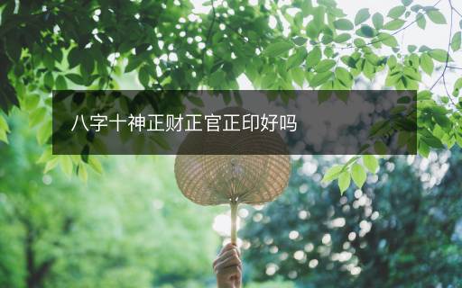 八字十神正财正官正印好吗