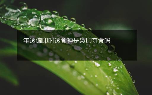 年透偏印时透食神是枭印夺食吗