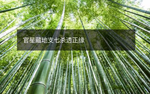 官星藏地支七杀透正缘