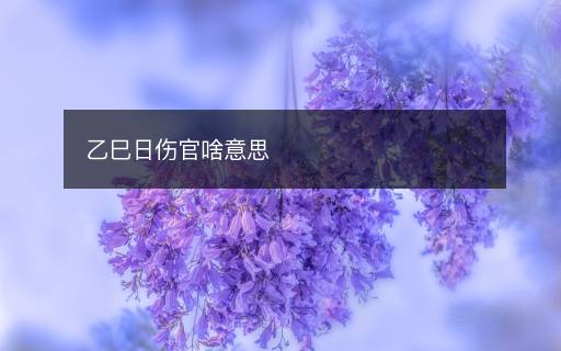 乙巳日伤官啥意思