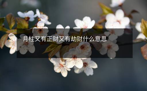 月柱又有正财又有劫财什么意思 月柱又有正财又有劫财什么意思
