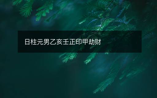 日柱元男乙亥壬正印甲劫财