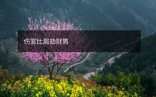 伤官比肩劫财男